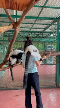 那須ワールドモンキーパークに投稿された画像（2023/7/3）