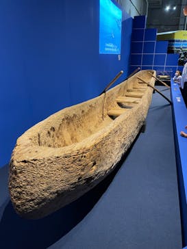 特別展「海　―生命のみなもと―」（国立科学博物館）に投稿された画像（2023/9/23）