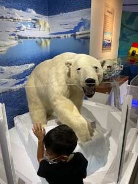 特別展「海　―生命のみなもと―」（国立科学博物館）に投稿された画像（2023/9/23）