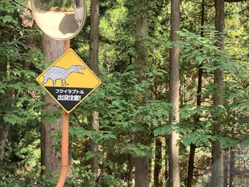 福井県立恐竜博物館に投稿された画像（2023/9/23）