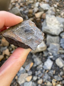 福井県立恐竜博物館に投稿された画像（2023/9/23）