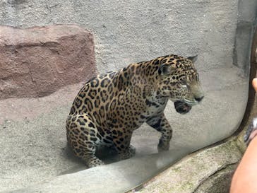 那須どうぶつ王国に投稿された画像（2023/9/23）