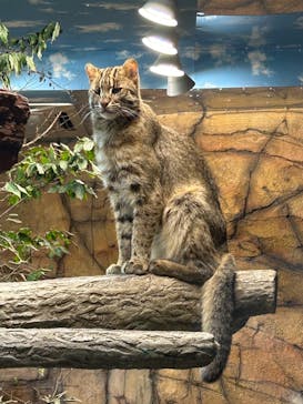 那須どうぶつ王国に投稿された画像（2023/9/23）