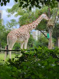 天王寺動物園に投稿された画像（2023/9/23）