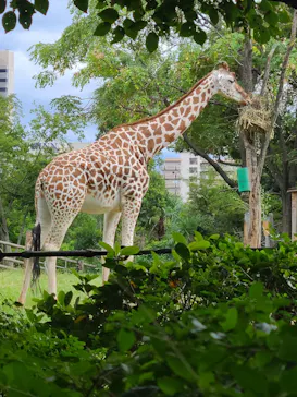 天王寺動物園に投稿された画像（2023/9/23）