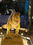 福井県立恐竜博物館に投稿された画像（2023/9/23）