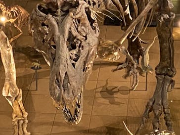 福井県立恐竜博物館に投稿された画像（2023/9/23）