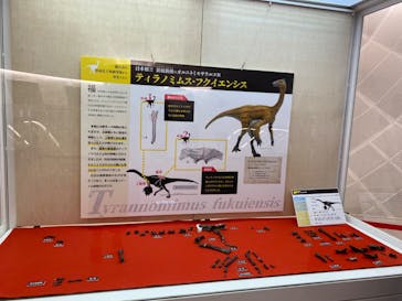 福井県立恐竜博物館に投稿された画像（2023/9/23）