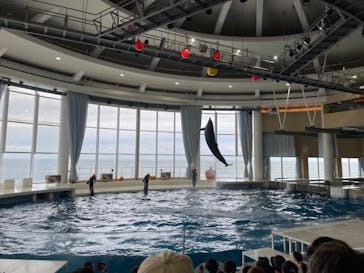 アクアワールド茨城県大洗水族館に投稿された画像（2023/9/23）