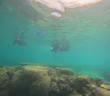 武藤潜水に投稿された画像（2023/9/23）