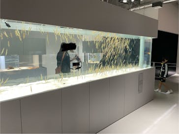 AOAO SAPPOROに投稿された画像（2023/9/23）