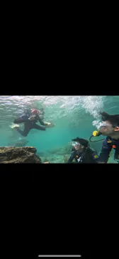 武藤潜水に投稿された画像（2023/9/23）