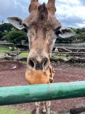 伊豆アニマルキングダムに投稿された画像（2023/9/23）