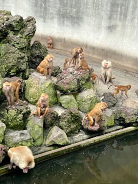 伊豆アニマルキングダムに投稿された画像（2023/9/23）