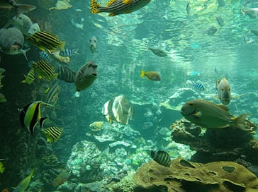 串本海中公園水族館に投稿された画像（2023/9/23）