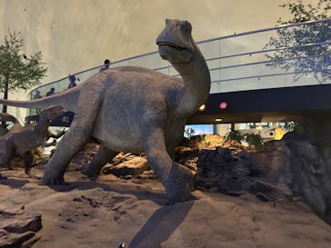 福井県立恐竜博物館に投稿された画像（2023/9/23）