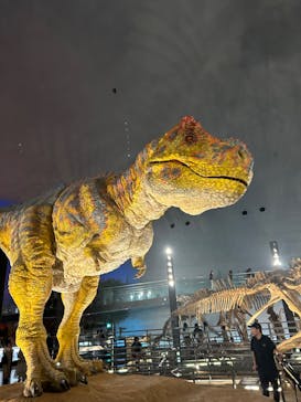 福井県立恐竜博物館に投稿された画像（2023/9/23）