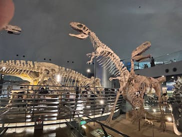福井県立恐竜博物館に投稿された画像（2023/9/23）