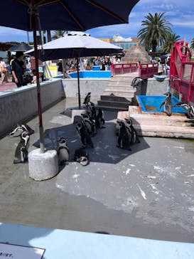 南知多ビーチランド＆南知多おもちゃ王国に投稿された画像（2023/9/23）