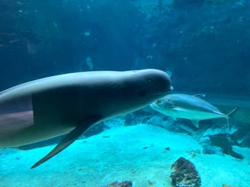 南知多ビーチランド＆南知多おもちゃ王国に投稿された画像（2023/9/23）