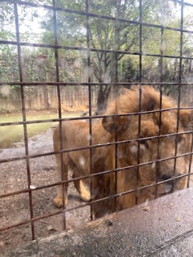 那須ハイランドパークに投稿された画像（2023/9/23）