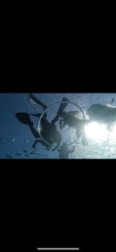 青の洞窟専門店　沖縄ダイビングショップ和に投稿された画像（2023/9/10）