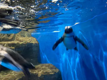 マクセル アクアパーク品川に投稿された画像（2023/9/23）