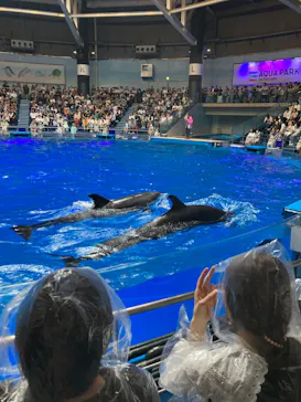 マクセル アクアパーク品川に投稿された画像（2023/9/23）