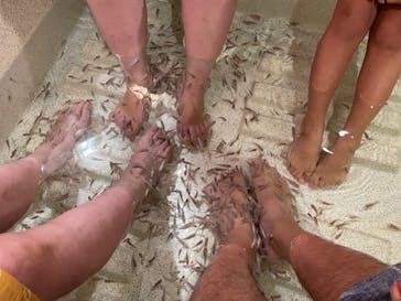 有馬温泉 太閤の湯に投稿された画像（2023/9/23）