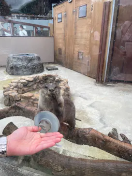 横浜・八景島シーパラダイスに投稿された画像（2023/9/23）