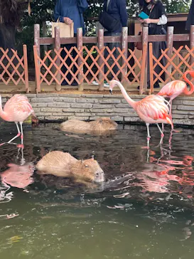 横浜・八景島シーパラダイスに投稿された画像（2023/9/23）