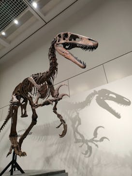 大阪市立自然史博物館に投稿された画像（2023/9/23）