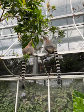 神戸どうぶつ王国に投稿された画像（2023/9/23）