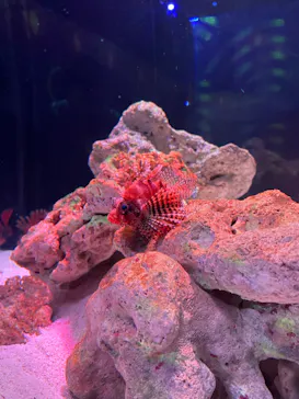 マクセル アクアパーク品川に投稿された画像（2023/9/23）