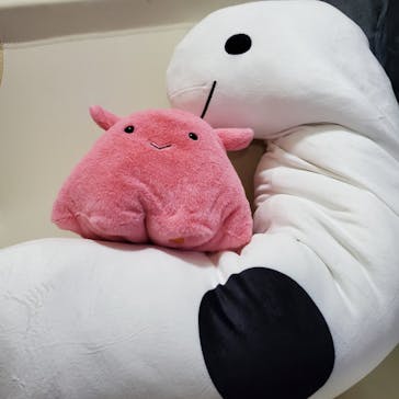 マリンワールド海の中道に投稿された画像（2023/9/23）