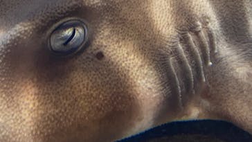 しながわ水族館に投稿された画像（2023/9/23）