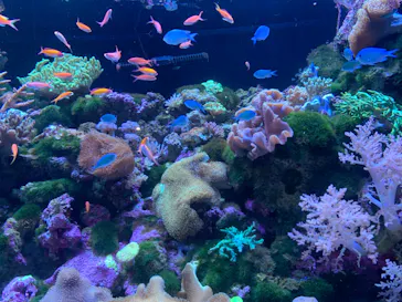 マクセル アクアパーク品川に投稿された画像（2023/9/23）