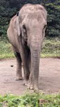 よこはま動物園ズーラシアに投稿された画像（2023/9/23）