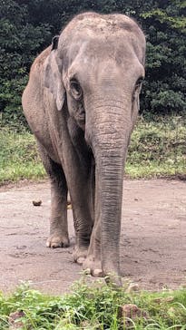 よこはま動物園ズーラシアに投稿された画像（2023/9/23）
