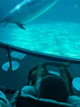 名古屋港水族館に投稿された画像（2023/9/23）