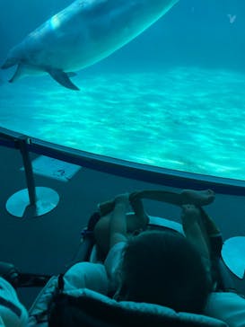 名古屋港水族館に投稿された画像（2023/9/23）