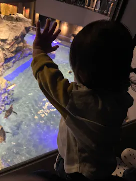 すみだ水族館に投稿された画像（2023/9/23）