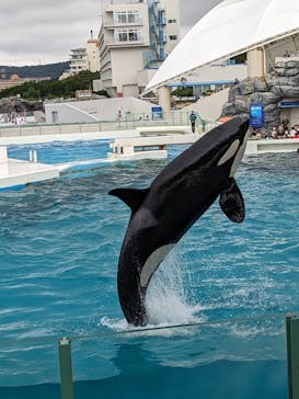 鴨川シーワールドに投稿された画像（2023/9/23）