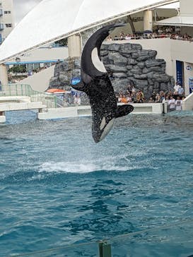 鴨川シーワールドに投稿された画像（2023/9/23）