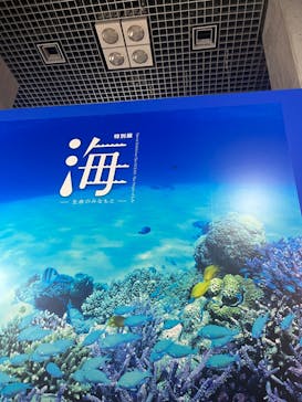 特別展「海　―生命のみなもと―」（国立科学博物館）に投稿された画像（2023/9/23）