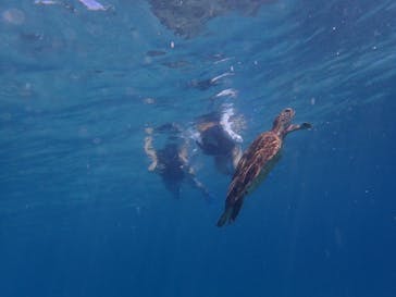 宮古島 ADVENTURE PiPi（ミヤコジマ アドベンチャー ピピ）に投稿された画像（2023/9/23）