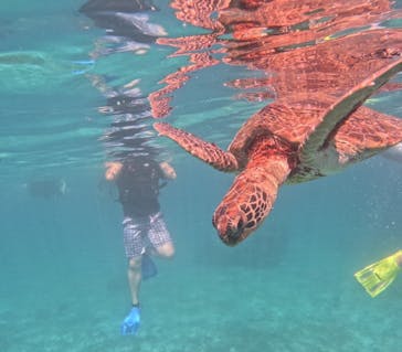 宮古島 ADVENTURE PiPi（ミヤコジマ アドベンチャー ピピ）に投稿された画像（2023/9/23）