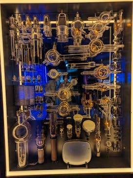 国立科学博物館に投稿された画像（2023/9/23）