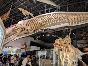 国立科学博物館に投稿された画像（2023/9/23）