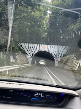 群馬サファリパークに投稿された画像（2023/9/23）